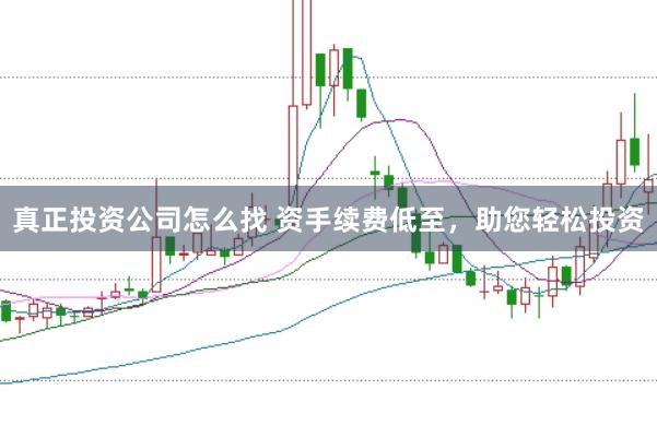 真正投资公司怎么找 资手续费低至，助您轻松投资