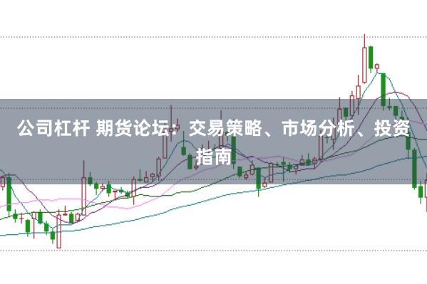 公司杠杆 期货论坛：交易策略、市场分析、投资指南