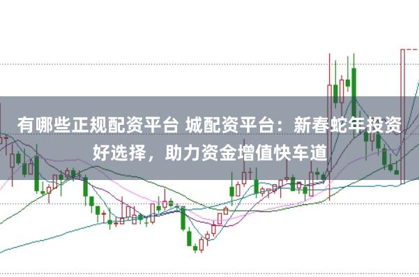 有哪些正规配资平台 城配资平台：新春蛇年投资好选择，助力资金增值快车道
