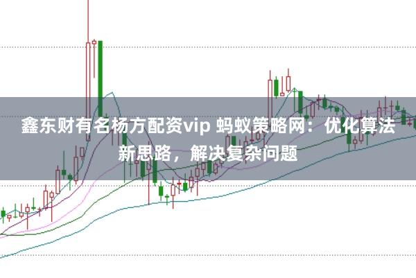 鑫东财有名杨方配资vip 蚂蚁策略网：优化算法新思路，解决复杂问题