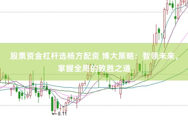 股票资金杠杆选杨方配资 博大策略：智领未来，掌握全局的致胜之道