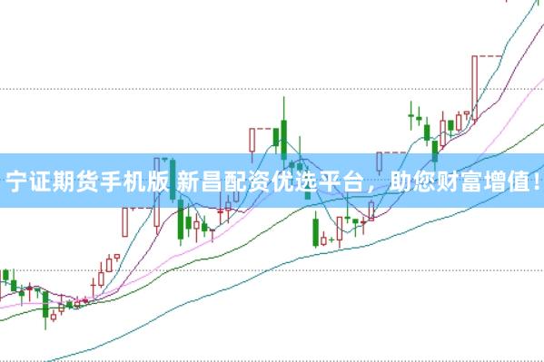 宁证期货手机版 新昌配资优选平台，助您财富增值！