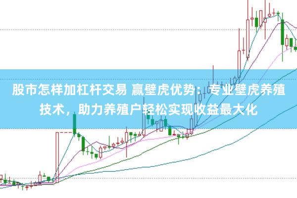 股市怎样加杠杆交易 赢壁虎优势：专业壁虎养殖技术，助力养殖户轻松实现收益最大化