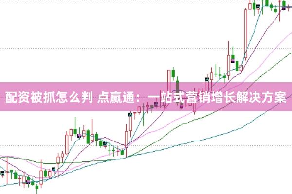 配资被抓怎么判 点赢通：一站式营销增长解决方案