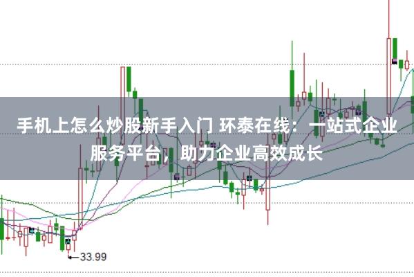 手机上怎么炒股新手入门 环泰在线：一站式企业服务平台，助力企业高效成长