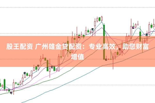 股王配资 广州雄金贷配资：专业高效，助您财富增值