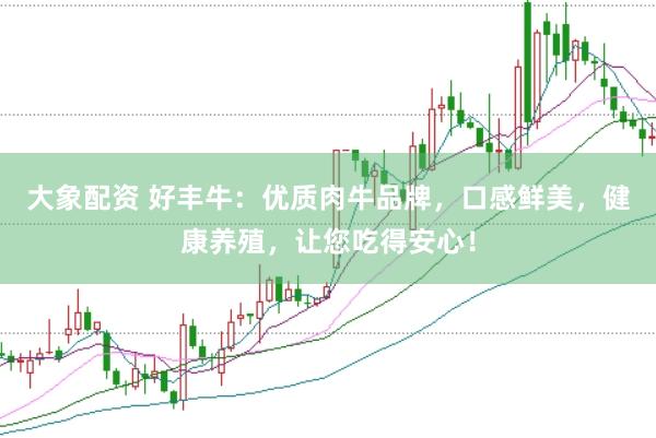 大象配资 好丰牛：优质肉牛品牌，口感鲜美，健康养殖，让您吃得安心！