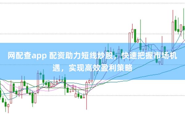 网配查app 配资助力短线炒股，快速把握市场机遇，实现高效盈利策略