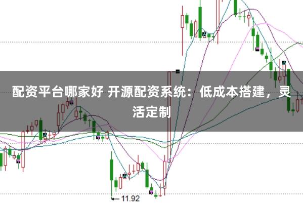 配资平台哪家好 开源配资系统：低成本搭建，灵活定制